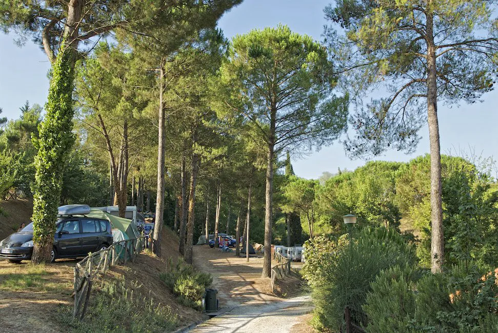Camping Toscana Village Toscane - Montopoli Val d'Arno visuel 9/19