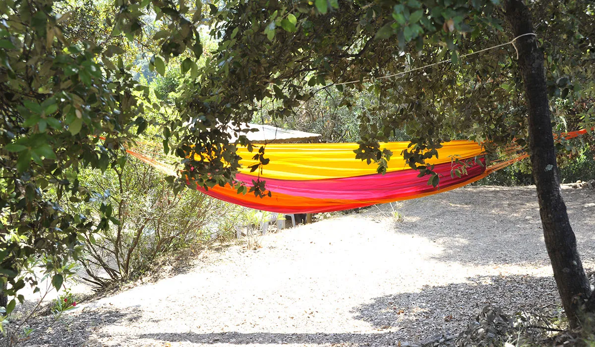 Camping Torraccia Corse - Cargèse visuel 5/12