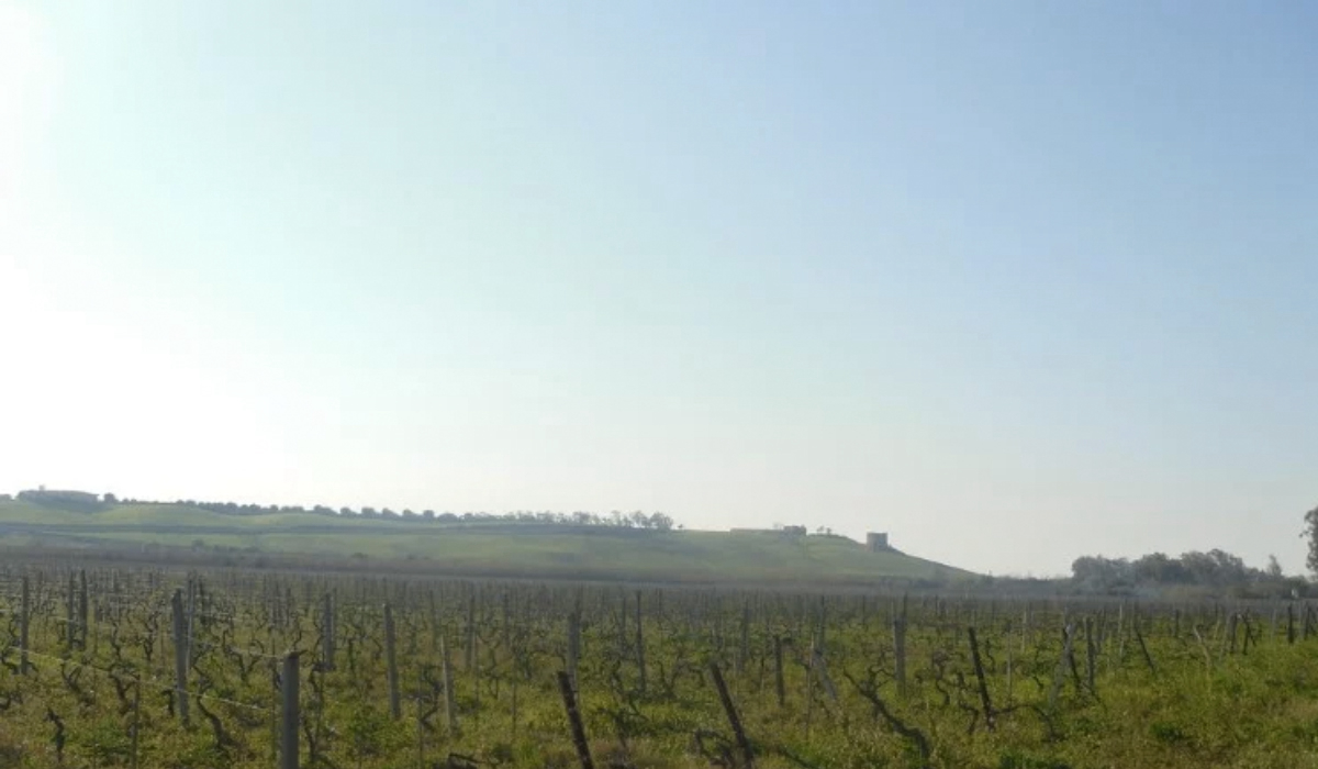 Villaggio Le Casette Calabre - Cirò Marina visuel 1/4