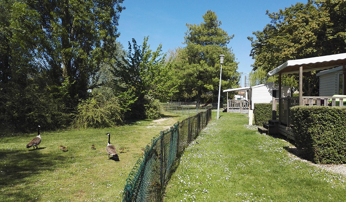Camping de Châlons en Champagne Champagne-Ardennes - Châlons-en-Champagne visuel 6/7 Camping de Châlons en Champagne Champagne-Ardennes - Châlons-en-Champagne visuel 6/7