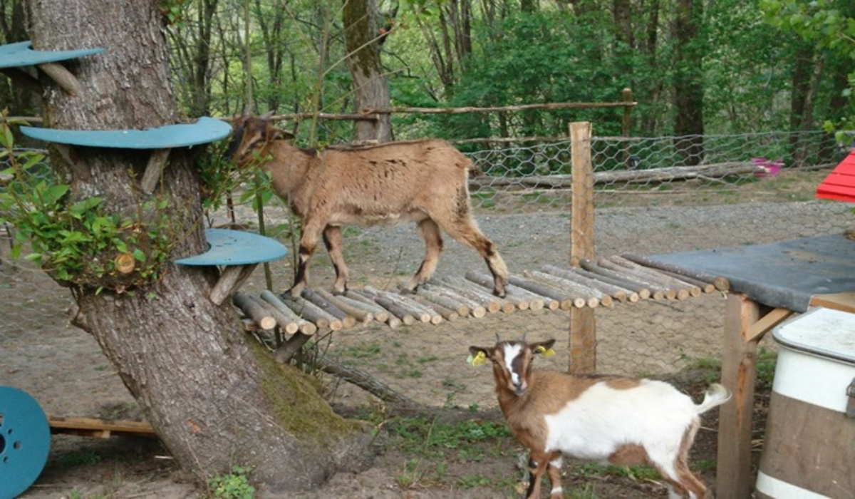Camping de Montmaurin Midi-Pyrénées - Montmaurin visuel 5/8 Camping de Montmaurin Midi-Pyrénées - Montmaurin visuel 5/8