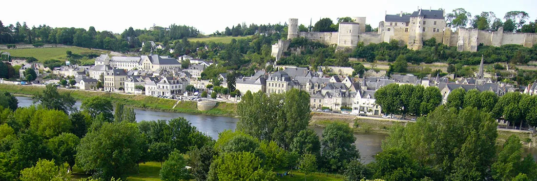 Camping de l'Ile Auger Grand Centre - Chinon visuel 2/4