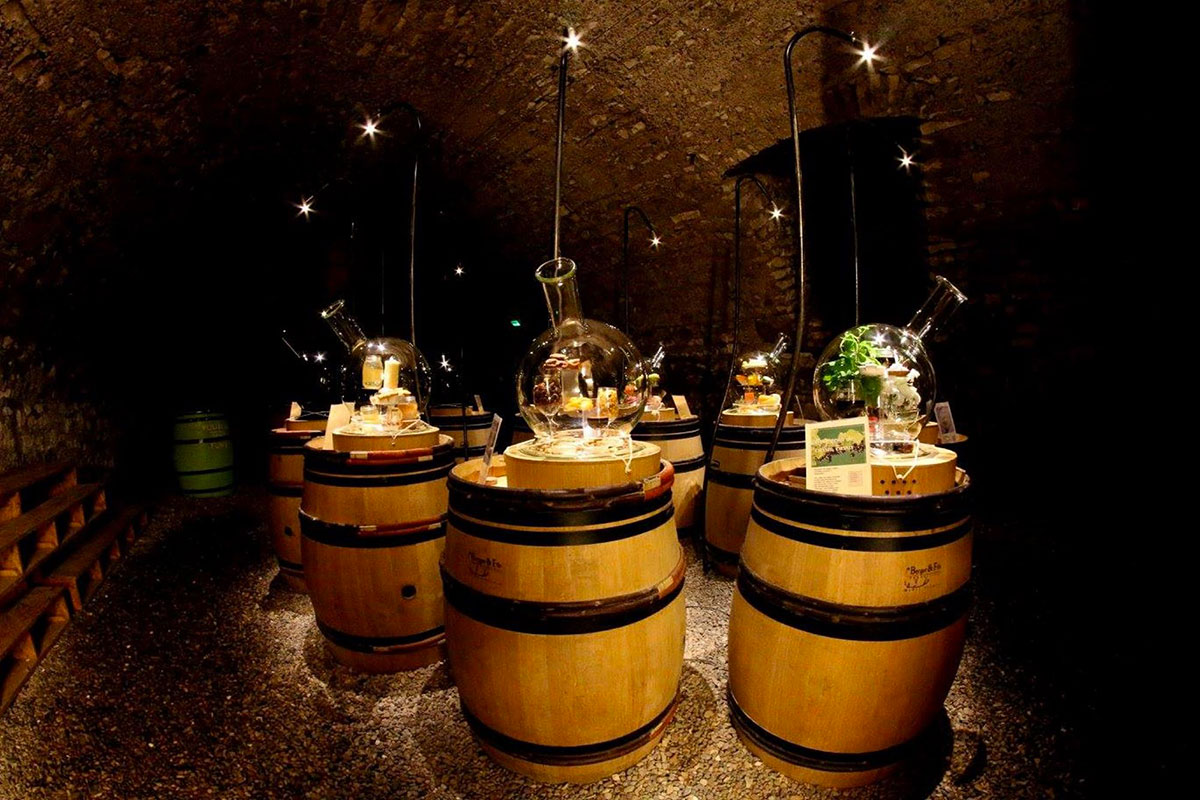 Camping de l'île Grand Centre - Bannay visuel 10/12