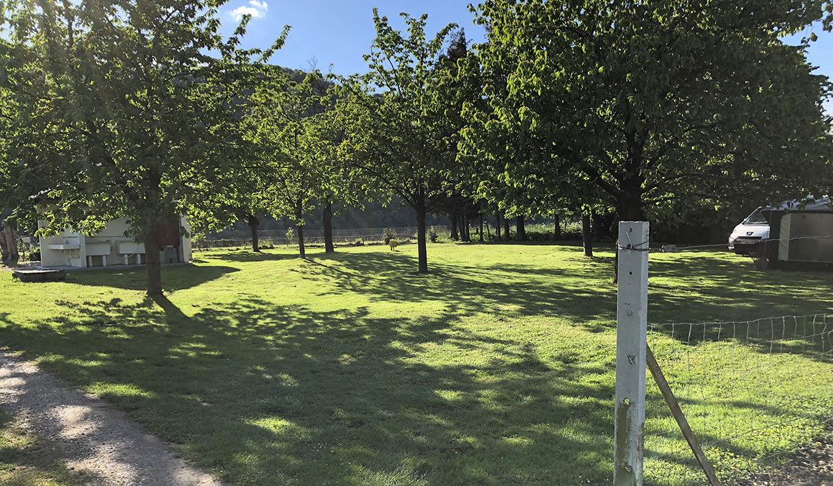 Camping de la Seine Haute-Normandie - Jumièges visuel 2/3 Camping de la Seine Haute-Normandie - Jumièges visuel 2/3