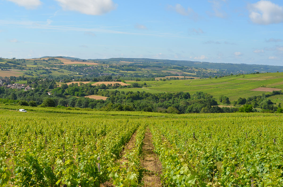 Camping des Sources Bourgogne - Santenay visuel 8/15 Camping des Sources Bourgogne - Santenay visuel 8/15