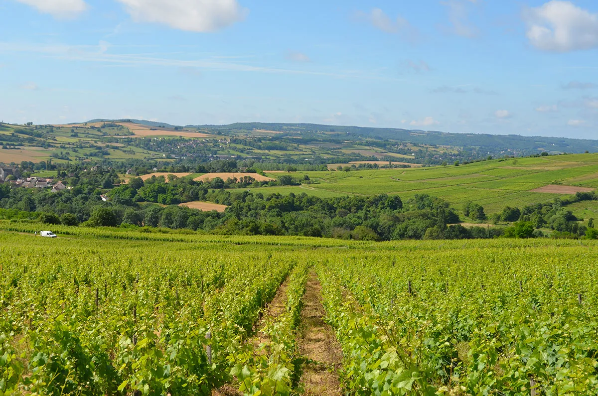 Camping des Sources Bourgogne - Santenay visuel 8/15
