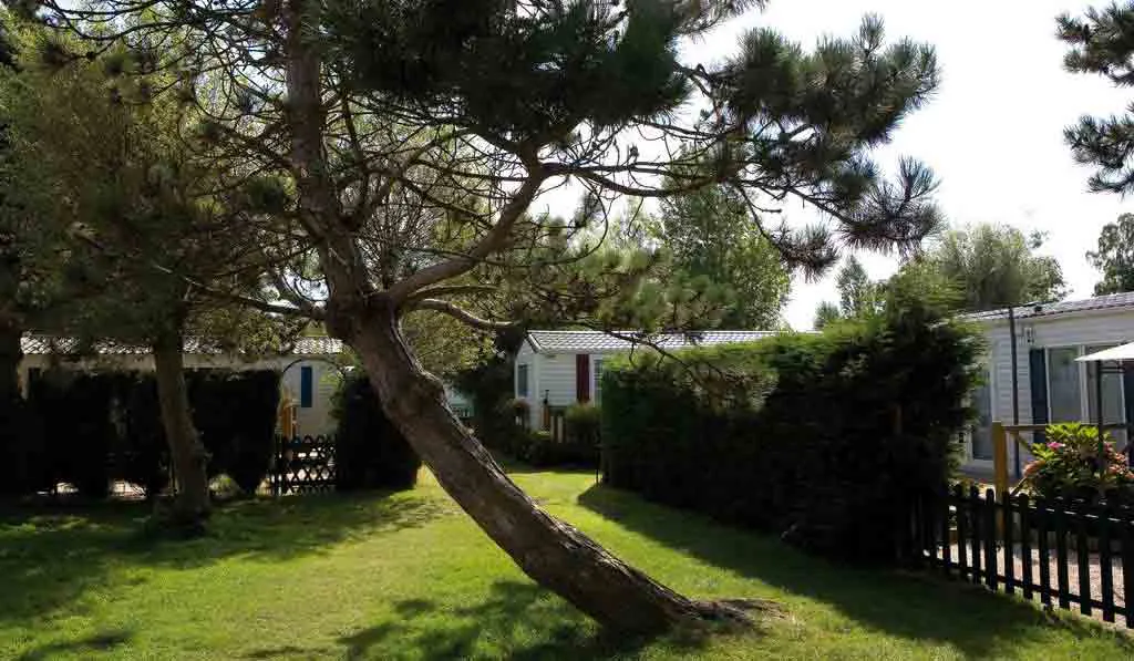 Camping Caravaning Les Garennes Nord-Pas de Calais - Rang-du-Fliers visuel 2/4