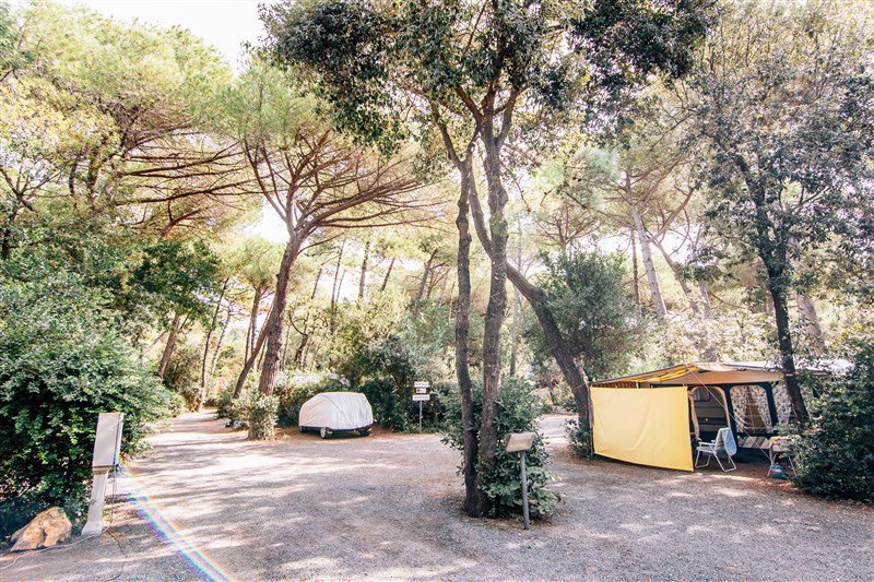 Casa Di Caccia Toscane - Marina di Bibbona visuel 3/4