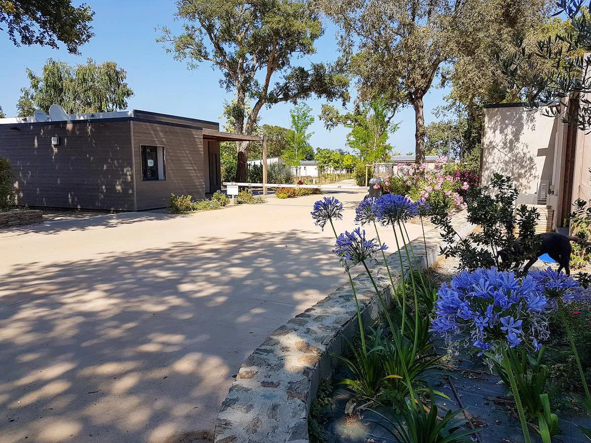 Camping Casa e Natura Corse - Santa-Maria-Poggio visuel 3/8