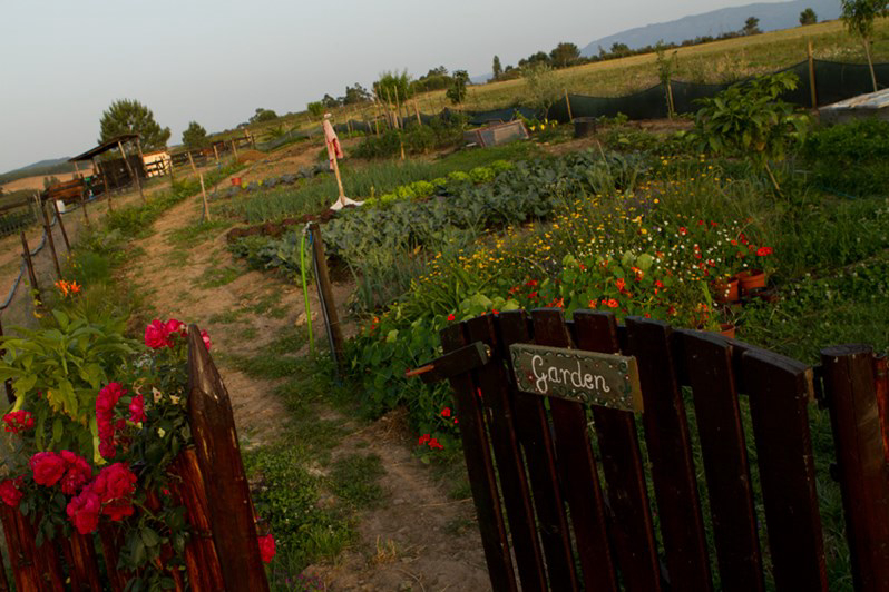 Casas Novas da Palmeira Alentejo - São Teotónio visuel 3/3 Casas Novas da Palmeira Alentejo - São Teotónio visuel 3/3