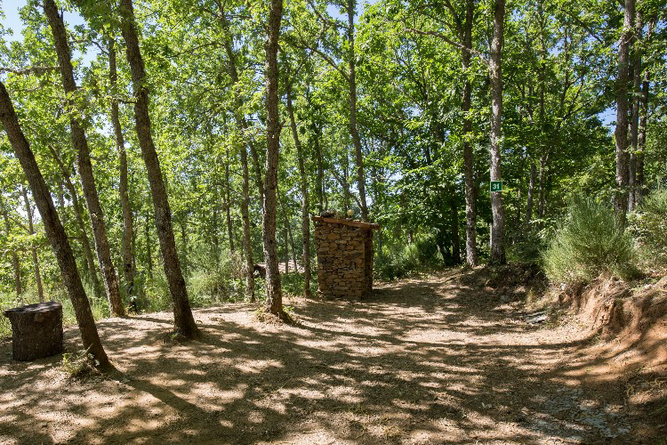 Cepo Verde Norte - Gondesende visuel 2/10