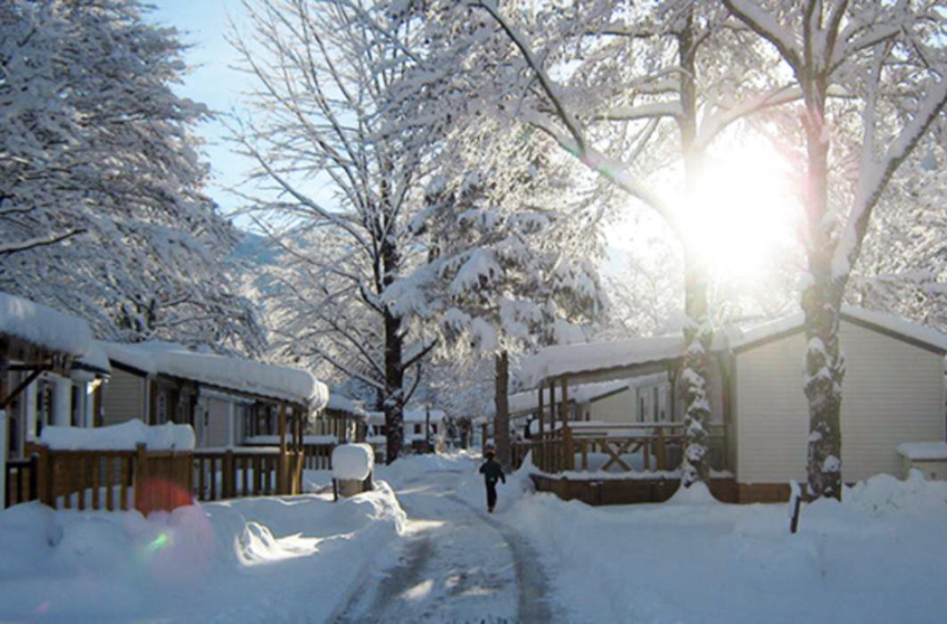 Chevrot Rhône-Alpes - Samoëns visuel 1/2 Chevrot Rhône-Alpes - Samoëns visuel 1/2