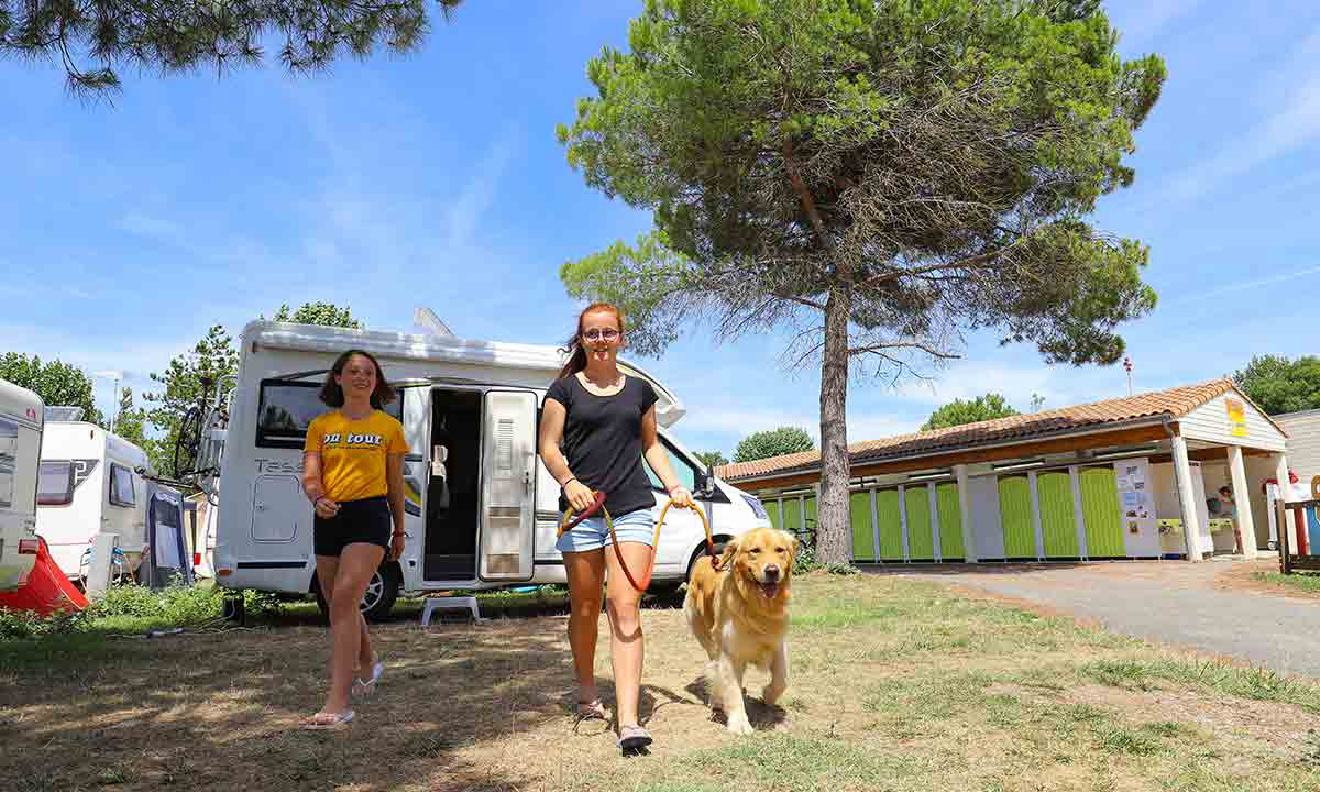 Campéole Pontaillac Plage Poitou-Charentes - Royan visuel 18/39