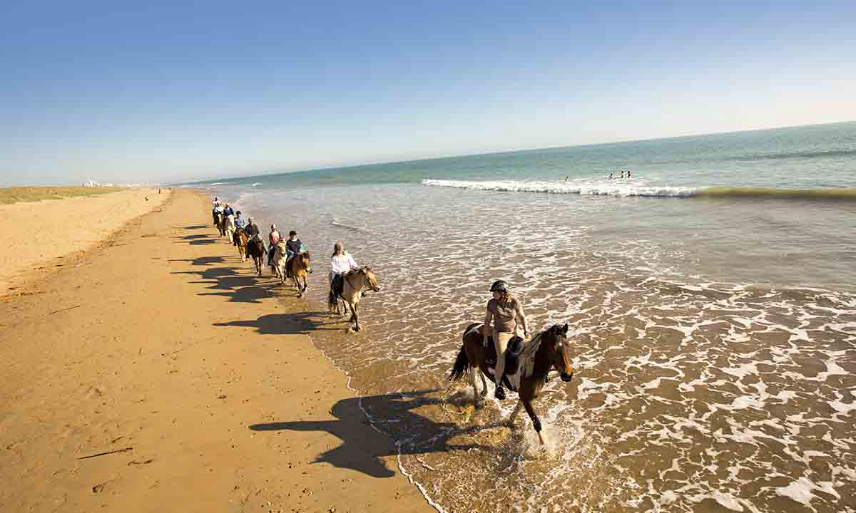 Campéole Pontaillac Plage Poitou-Charentes - Royan visuel 13/39