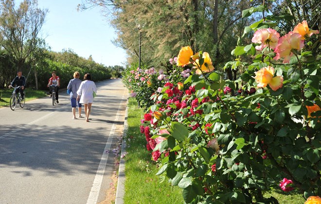 Club del Sole Spina Emilie Romagne - Lido Di Spina visuel 4/5
