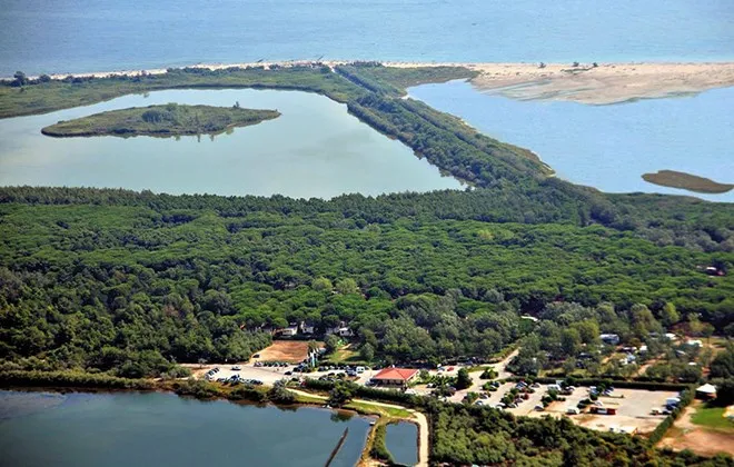 Camping Club del Sole Spina Emilie Romagne - Lido Di Spina visuel 5/5