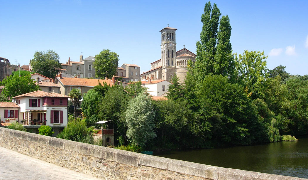 Coeur de Vendée Pays de Loire - La Boissière-de-Montaigu visuel 9/10