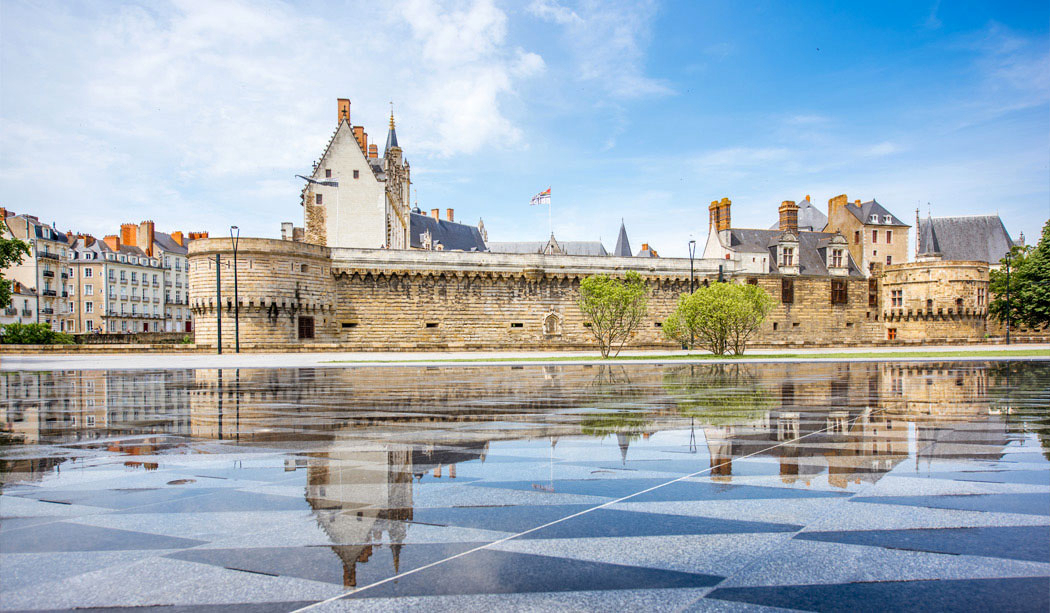 Coeur de Vendée Pays de Loire - La Boissière-de-Montaigu visuel 10/10