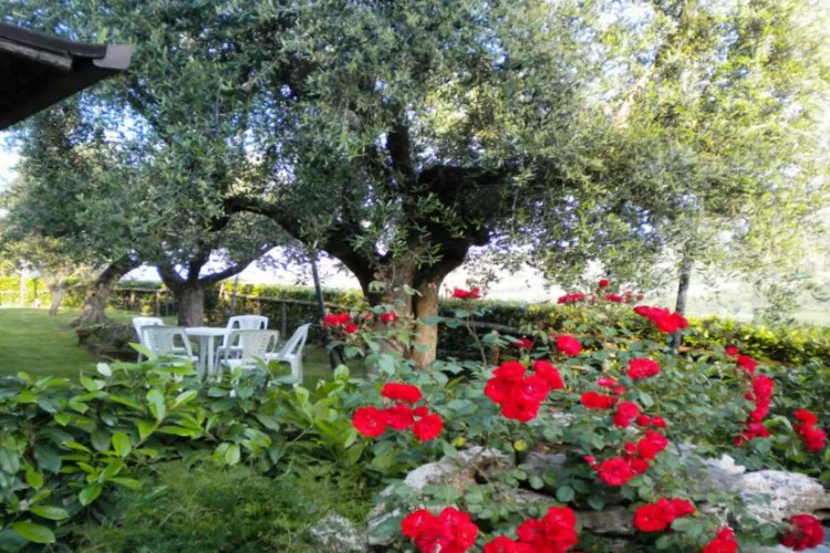 Camping Countryhouse Il Girasole Marches - Massignano visuel 7/7