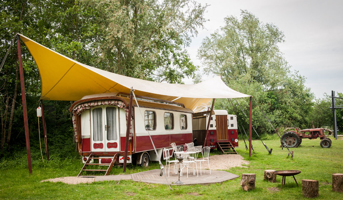 De Lievelinge Gueldre - Vuren visuel 6/6 De Lievelinge Gueldre - Vuren visuel 6/6