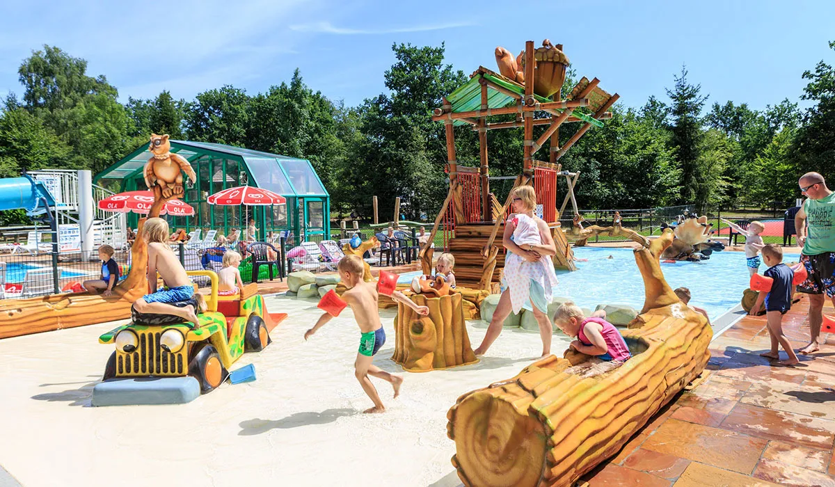 Camping De Pampel Gueldre - Hoenderloo visuel 2/4