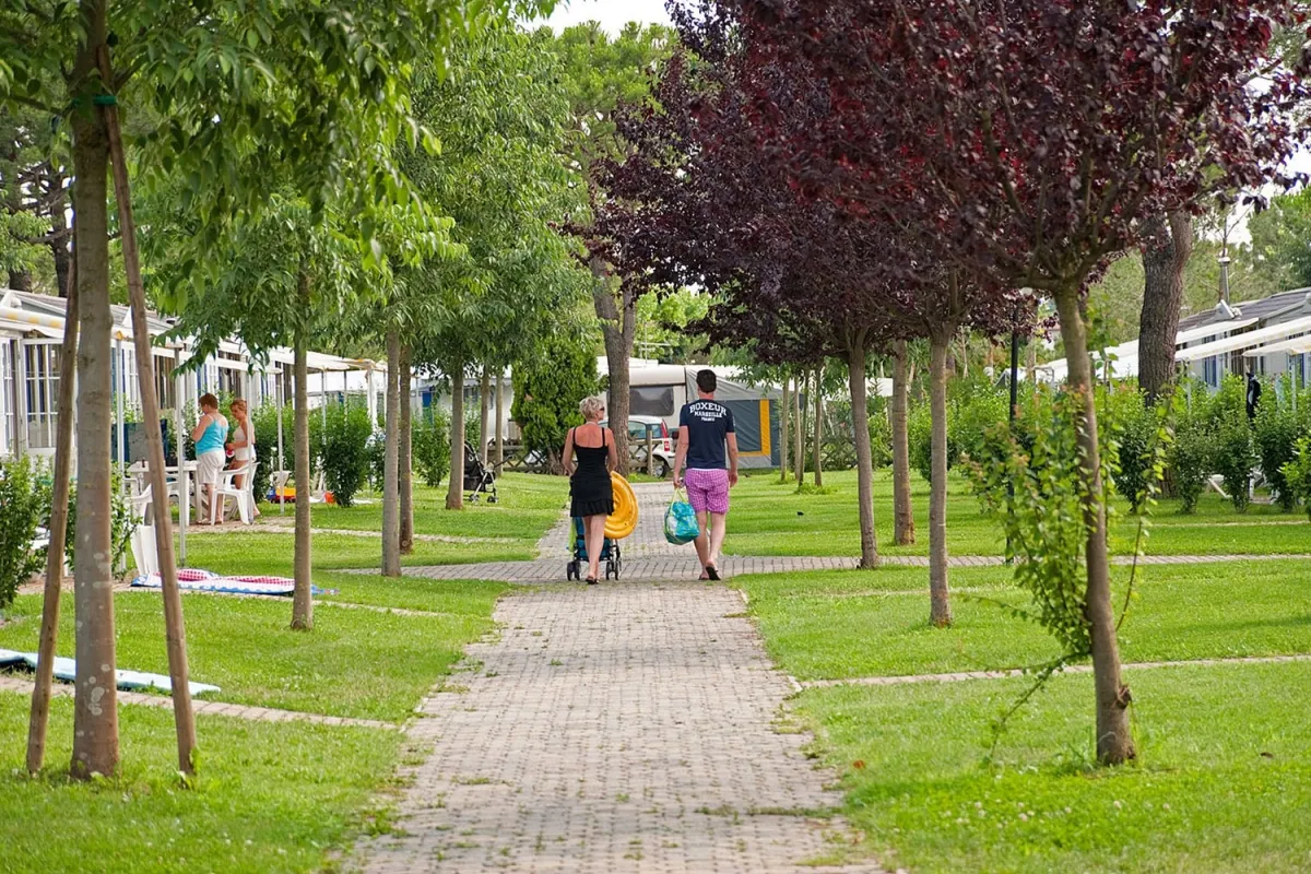 Camping Del Garda Lombardie - Peschiera del Garda visuel 5/8