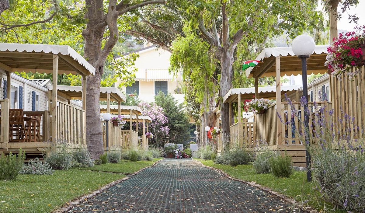 Delfino Ligurie - Albenga visuel 2/2