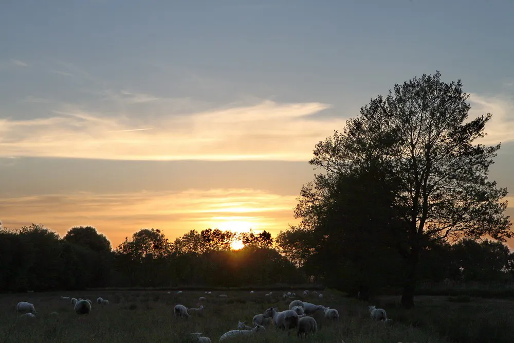 Camping Diever Drenthe - Diever visuel 5/5
