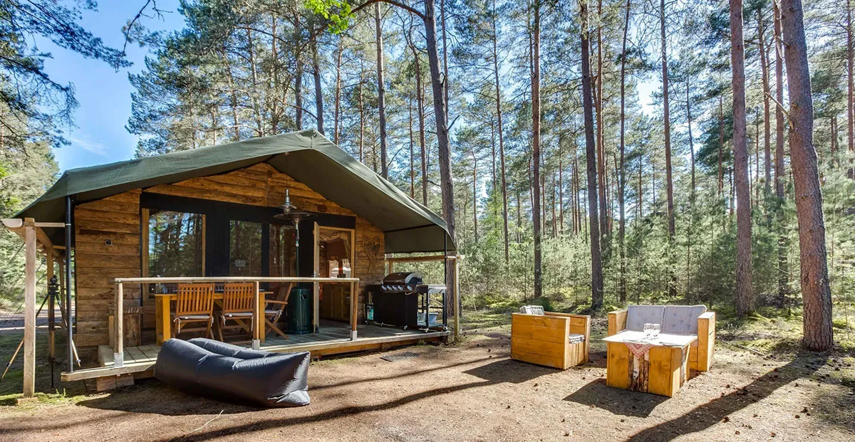 Camping Gîtes insolites de Sologne Grand Centre - Brinon-sur-Sauldre visuel 5/5