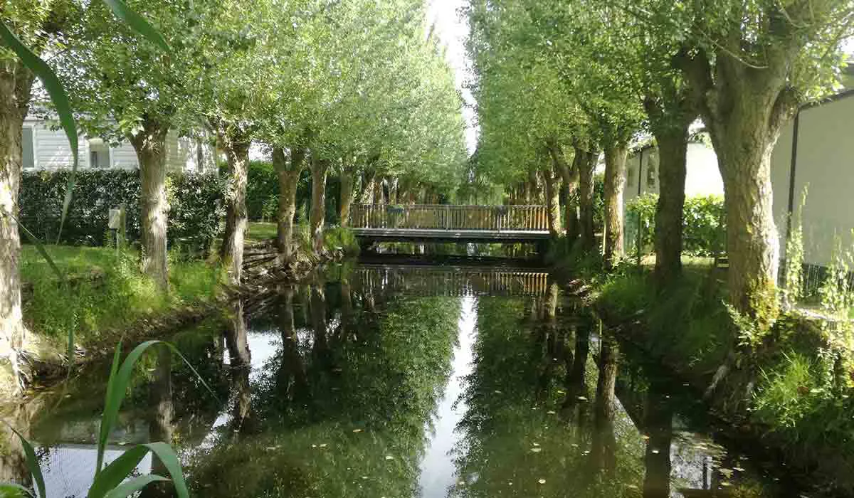 Domaine Le Jardin du Marais Pays de Loire - Le Perrier visuel 10/20