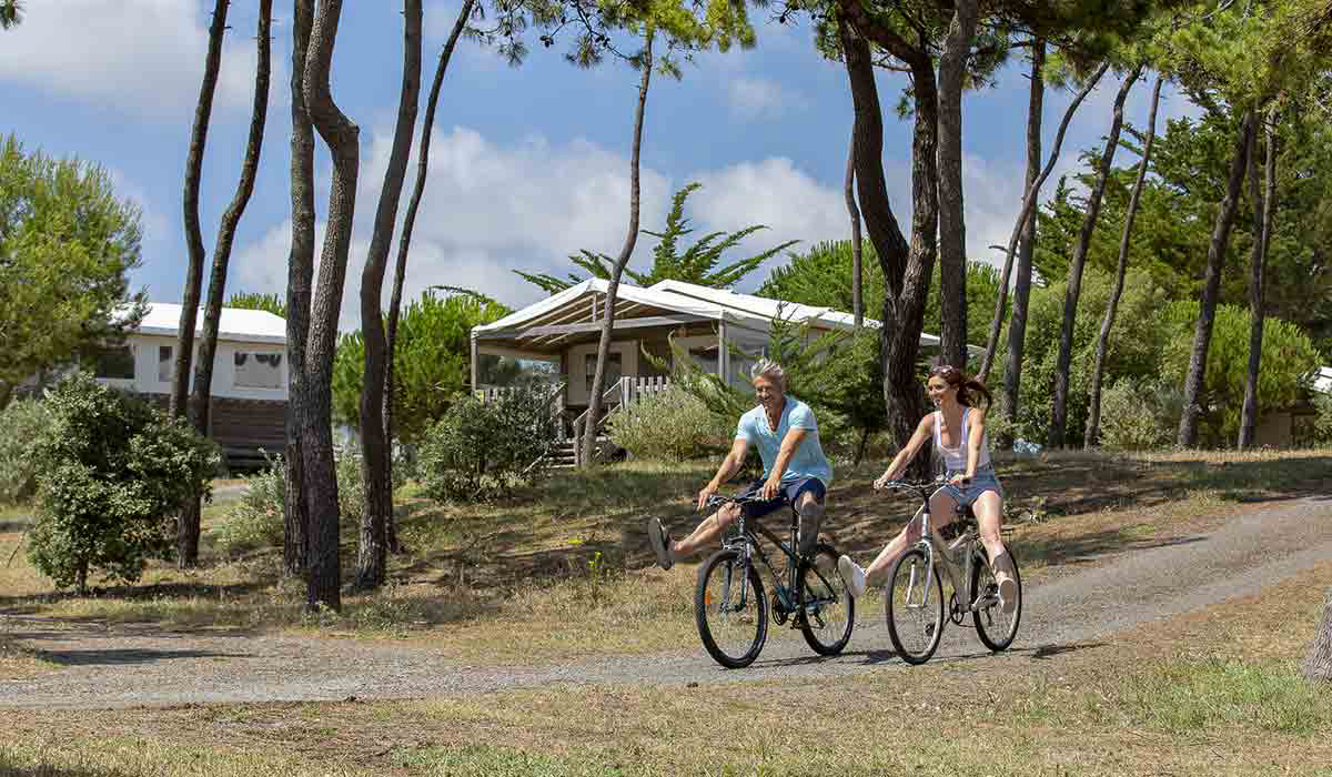 Domaine Le Midi Pays de Loire - Barbâtre visuel 4/23
