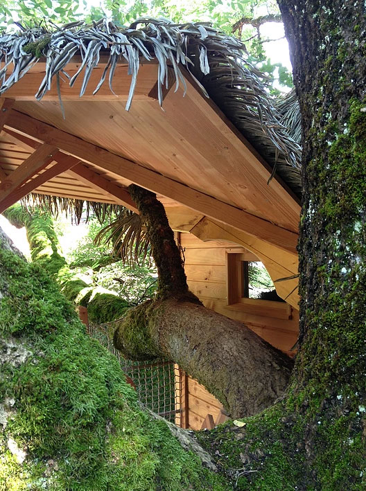 Domaine Les Cabanes de Marie Lémanique - Ogens visuel 4/12 Domaine Les Cabanes de Marie Lémanique - Ogens visuel 4/12