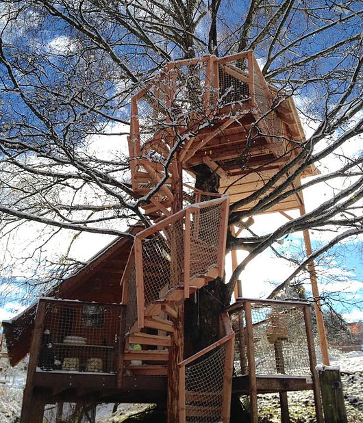 Domaine Les Cabanes de Marie Lémanique - Ogens visuel 6/12 Domaine Les Cabanes de Marie Lémanique - Ogens visuel 6/12