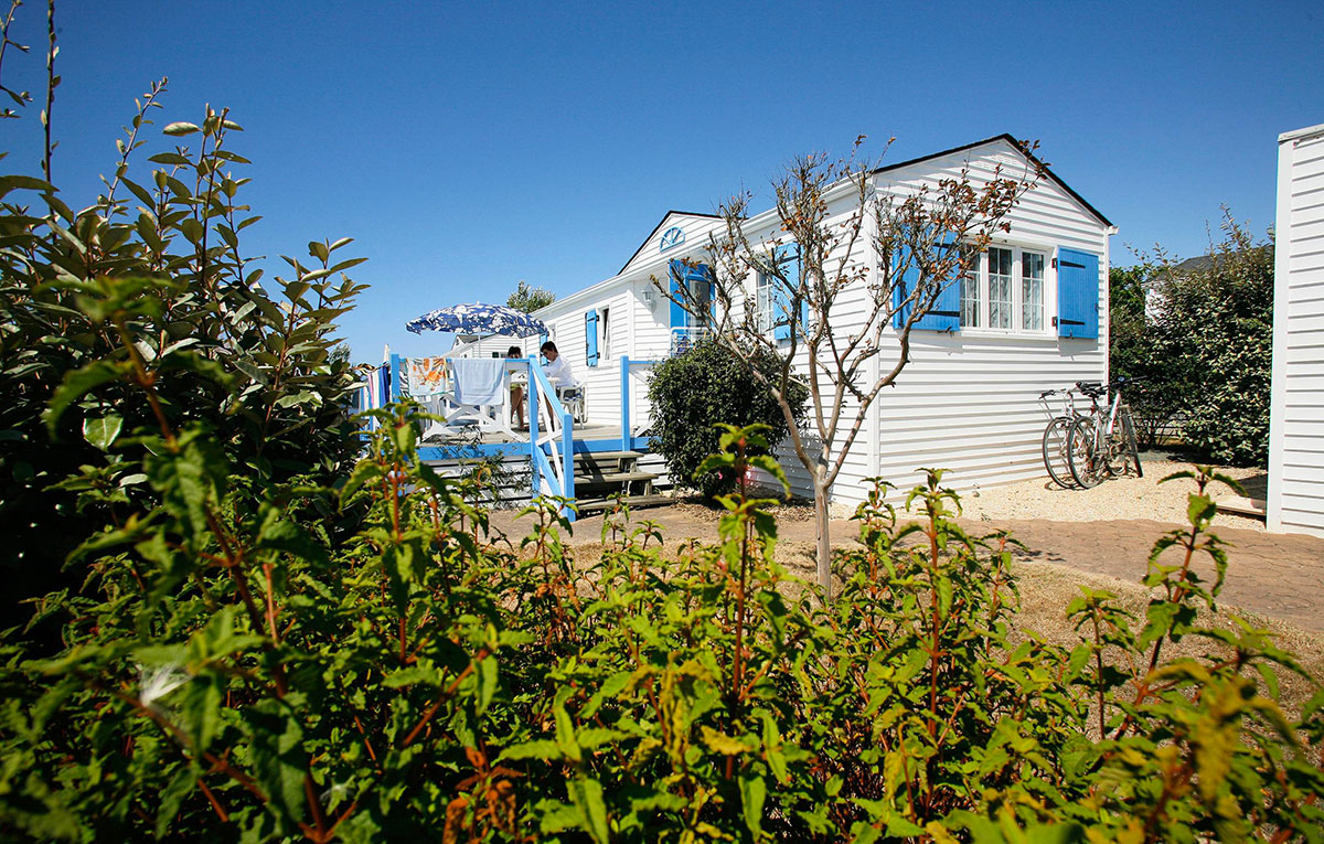 Domaine Résidentiel de plein-air Saint-Martin Pays de Loire - Talmont-Saint-Hilaire visuel 3/14 Domaine Résidentiel de plein-air Saint-Martin Pays de Loire - Talmont-Saint-Hilaire visuel 3/14