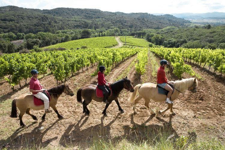 Domaine d'Arnauteille Languedoc-Roussillon - Montclar visuel 14/15