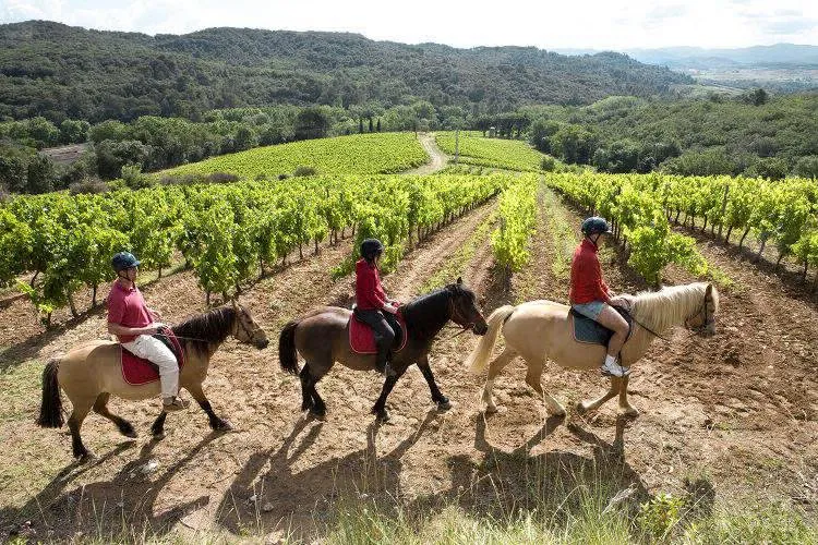 Domaine d'Arnauteille Languedoc-Roussillon - Montclar visuel 14/15