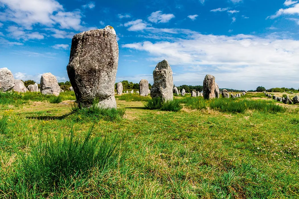 Domaine de Kermario Bretagne - Carnac visuel 3/8