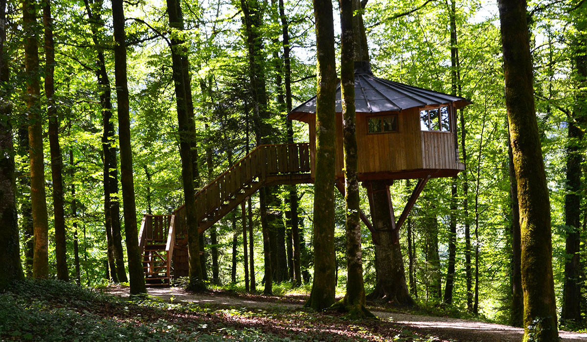 Domaine de Syam Franche-Comté - Syam visuel 7/19