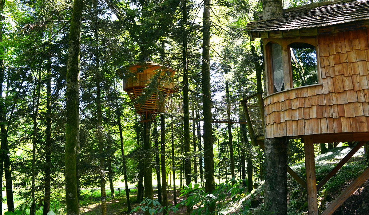 Domaine de Syam Franche-Comté - Syam visuel 5/19