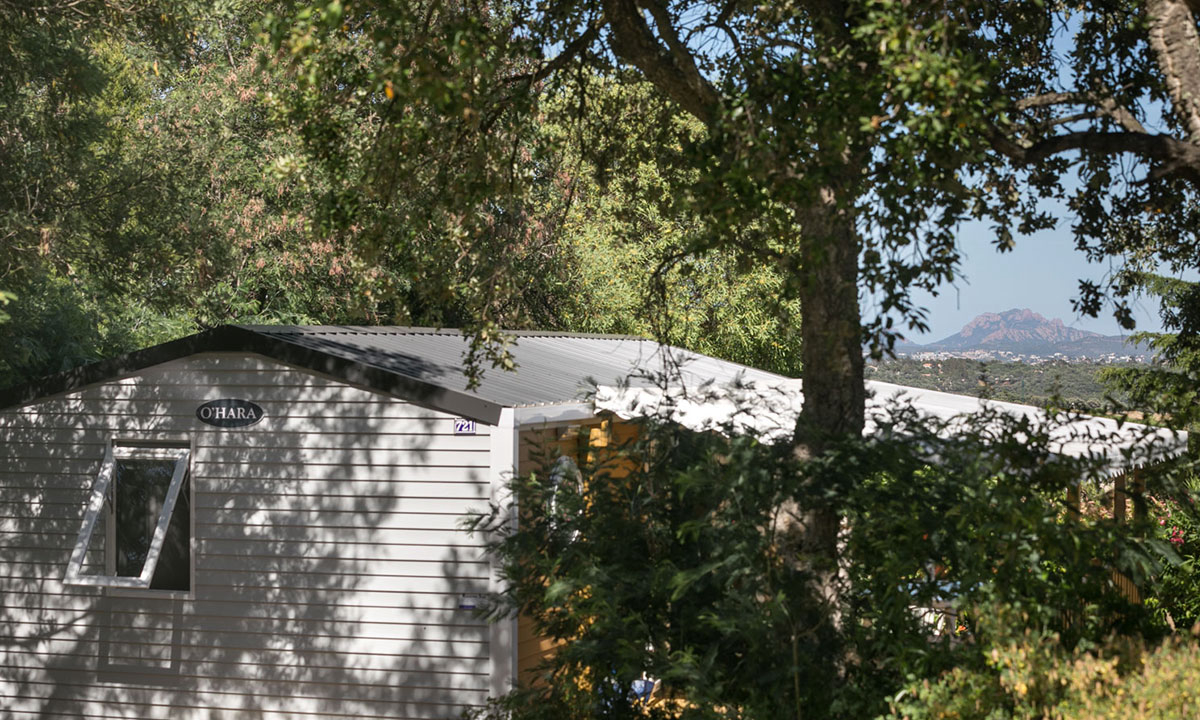 Domaine de la Bergerie Provence-Alpes-Côte d'Azur - Roquebrune-sur Argens visuel 11/11