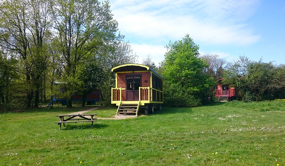 Domaine de la Grangée Grand Centre - La Chapelle-Blanche-Saint-Martin visuel 14/14