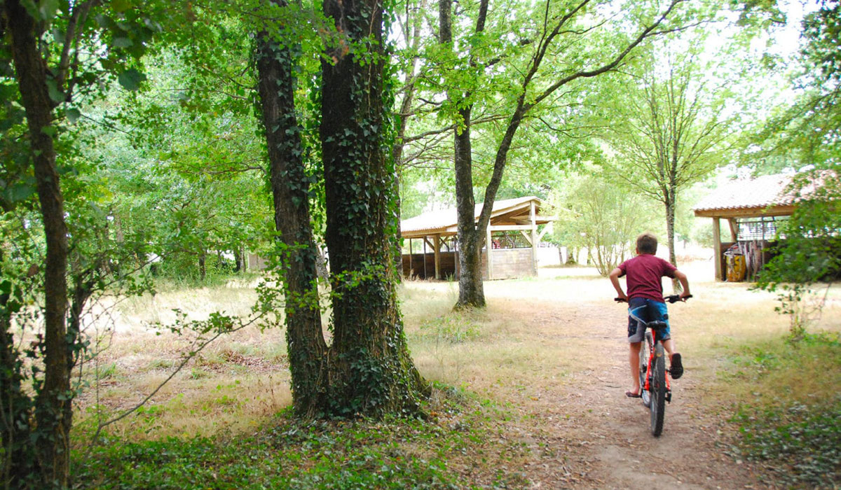 Domaine de l’Oiselière Pays de Loire - Chauché visuel 12/20