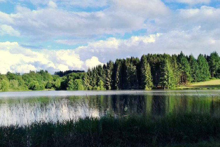Domaine du Balbuzard Auvergne - Condat-en-Combraille visuel 7/7 Domaine du Balbuzard Auvergne - Condat-en-Combraille visuel 7/7