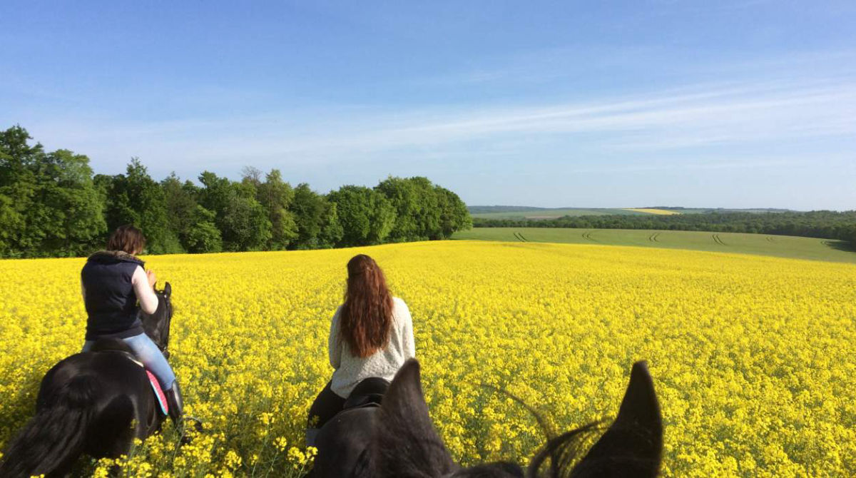 Domaine du Cloître Saint-Christophe Lorraine - Saint-Mihiel visuel 2/3