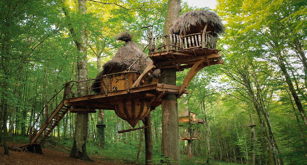 Domaine l'Arbre à Cabane Champagne-Ardennes - Guyonvelle visuel 1/3