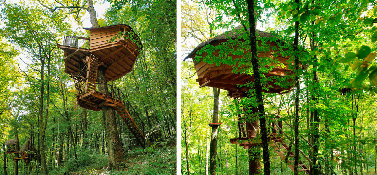 Domaine l'Arbre à Cabane Champagne-Ardennes - Guyonvelle visuel 3/3