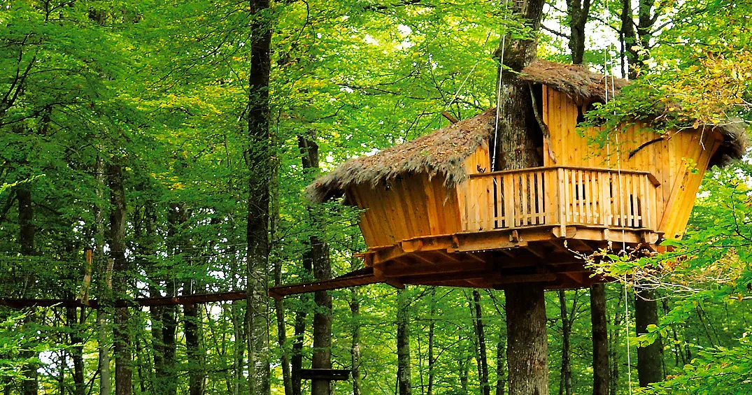 Domaine l'Arbre à Cabane Champagne-Ardennes - Guyonvelle visuel 2/3