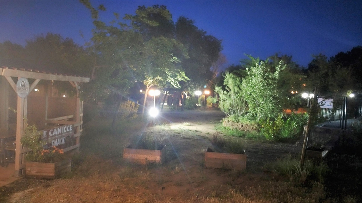 E Canicce Corse - Moltifao visuel 12/12 E Canicce Corse - Moltifao visuel 12/12