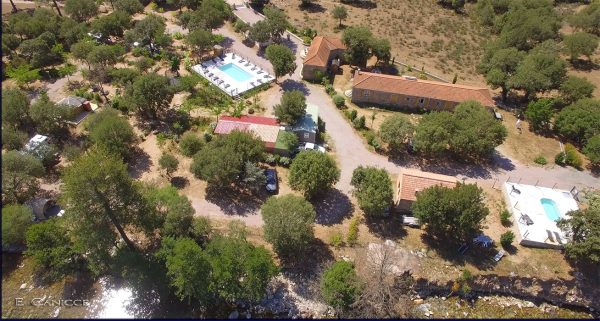 E Canicce Corse - Moltifao visuel 1/12 E Canicce Corse - Moltifao visuel 1/12