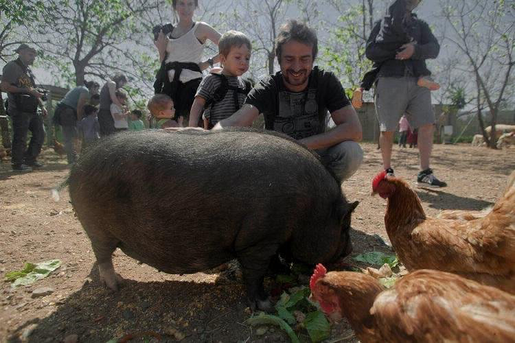 Ecocamp Vinyols Catalogne - Vinyols i els Arcs visuel 6/9